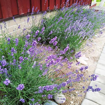 9 Min From Palanga! Luxury House On The River And Sauna Kretinga Exteriér fotografie